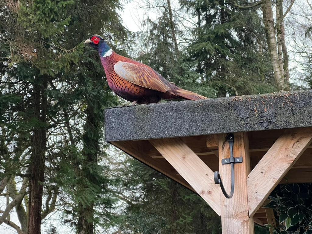 Loch Lomond Hideaways Villa Drymen Luaran gambar